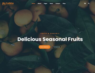template — E-Commerce